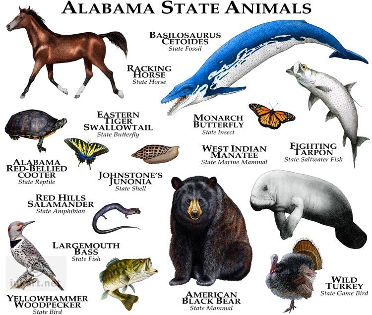 alabama-state-animals